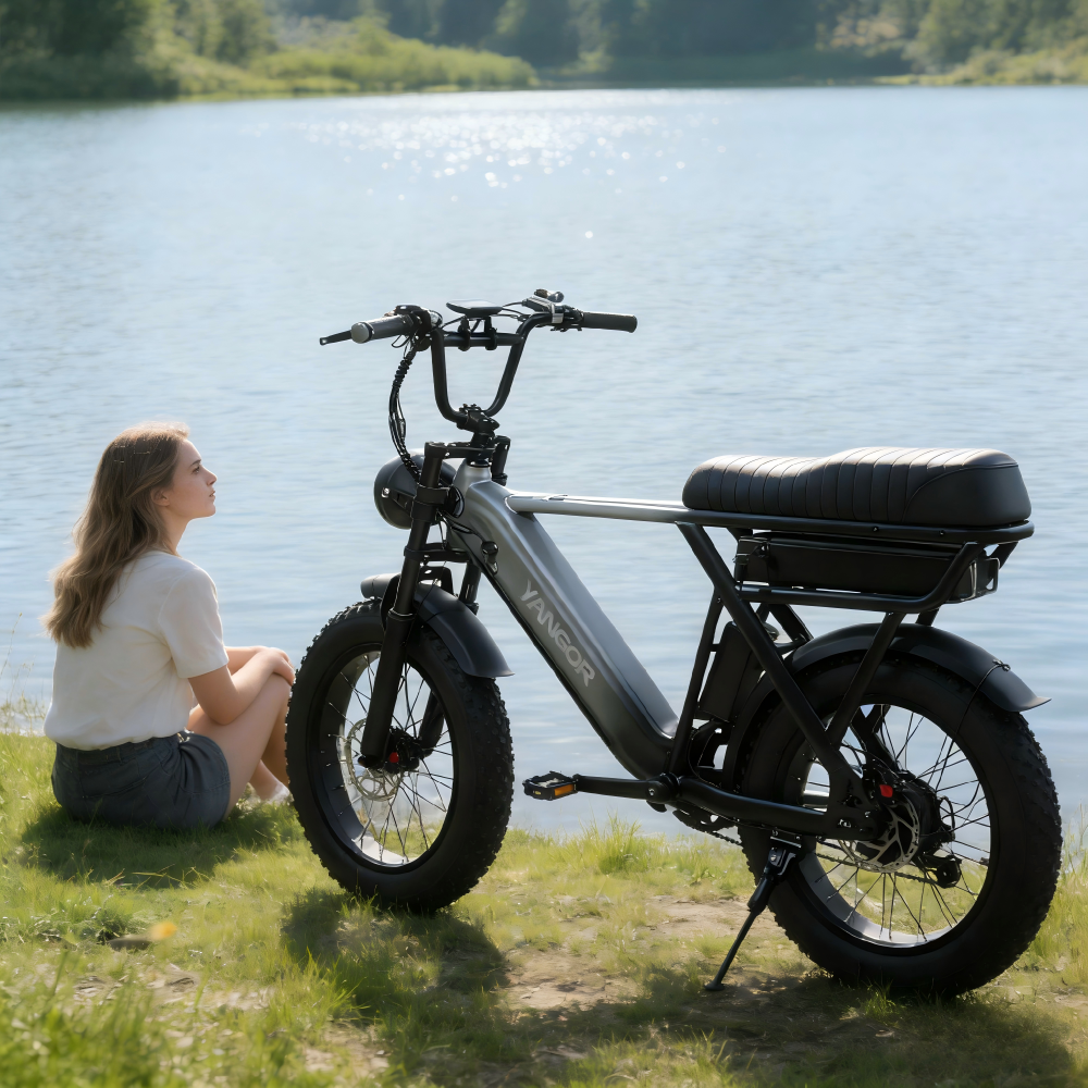 Yangor Y20 Pro Max E-Bike – 250W | 48V 35Ah | 20×4,0" | bis 210 km | Peak 500W