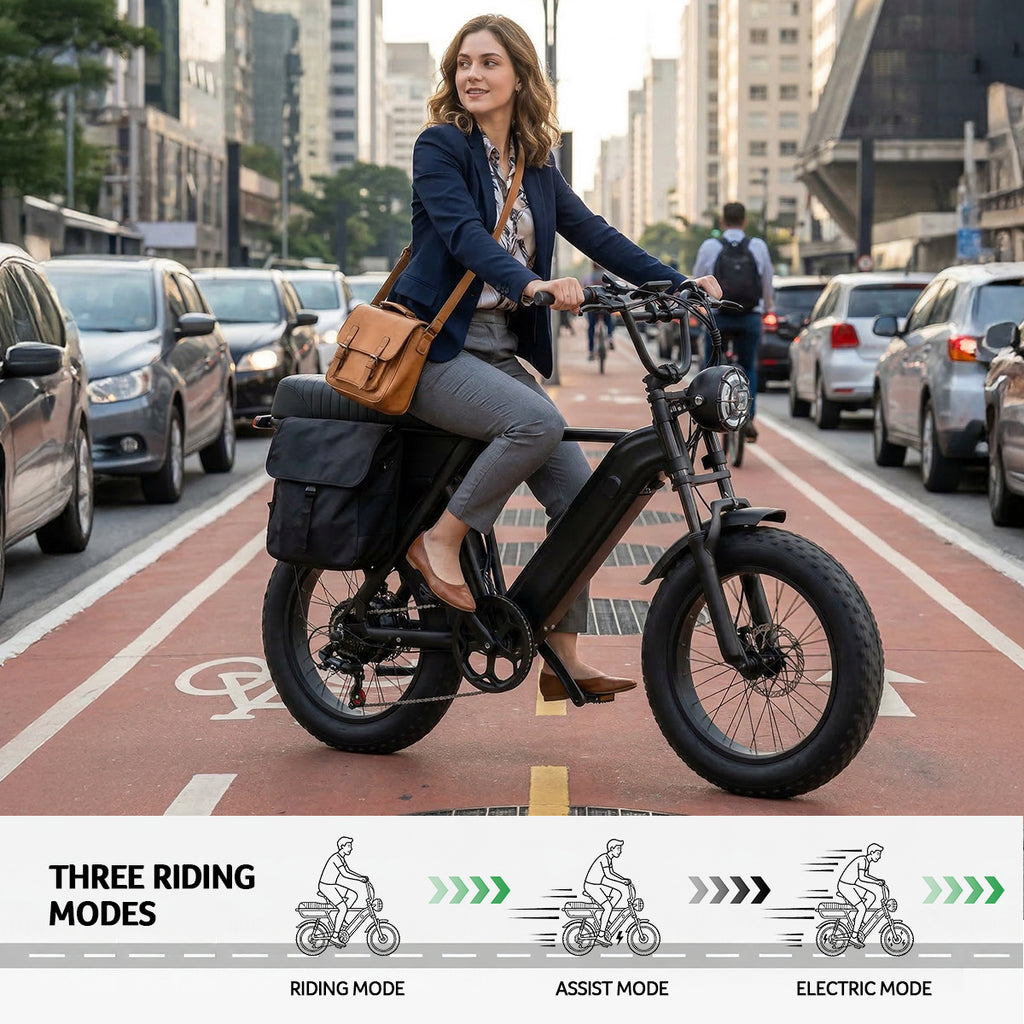 Yangor Y20 E-Bike – 250W | 48V 15Ah | 20×4,0" | Peak 500W
