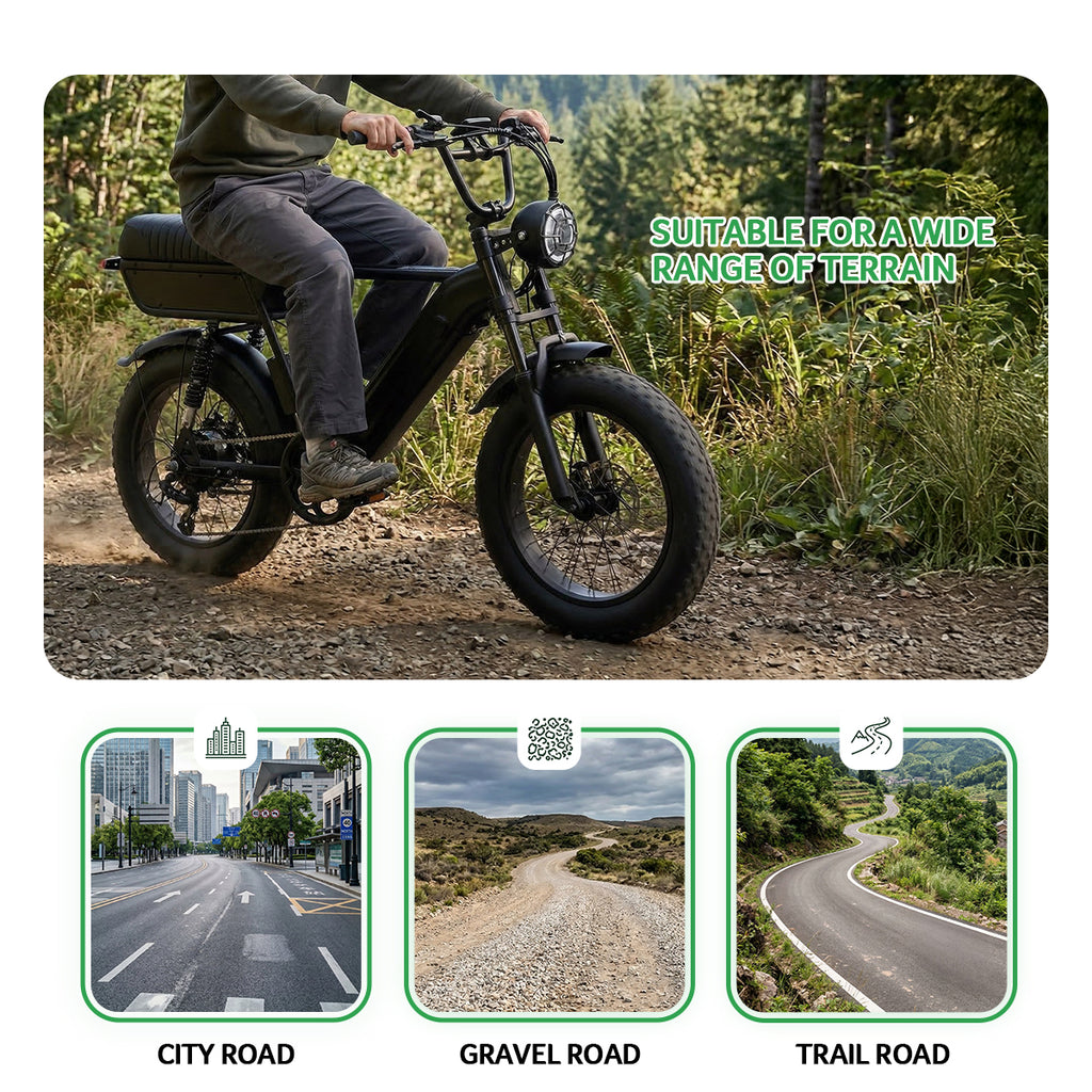 Yangor Y20 Plus E-Bike – Premium-Version mit  Hinterradfederung– 250W | 48V 15Ah | 20×4,0"