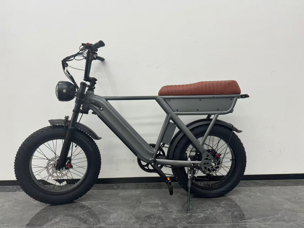 Yangor Y20 E-Bike – 250W | 48V 15Ah | 20×4,0" | Peak 500W