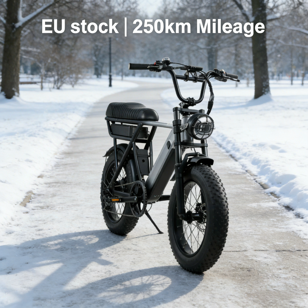 Yangor Y20 Pro Max E-Bike – 250W | 48V 35Ah | 20×4,0" | bis 210 km | Peak 500W
