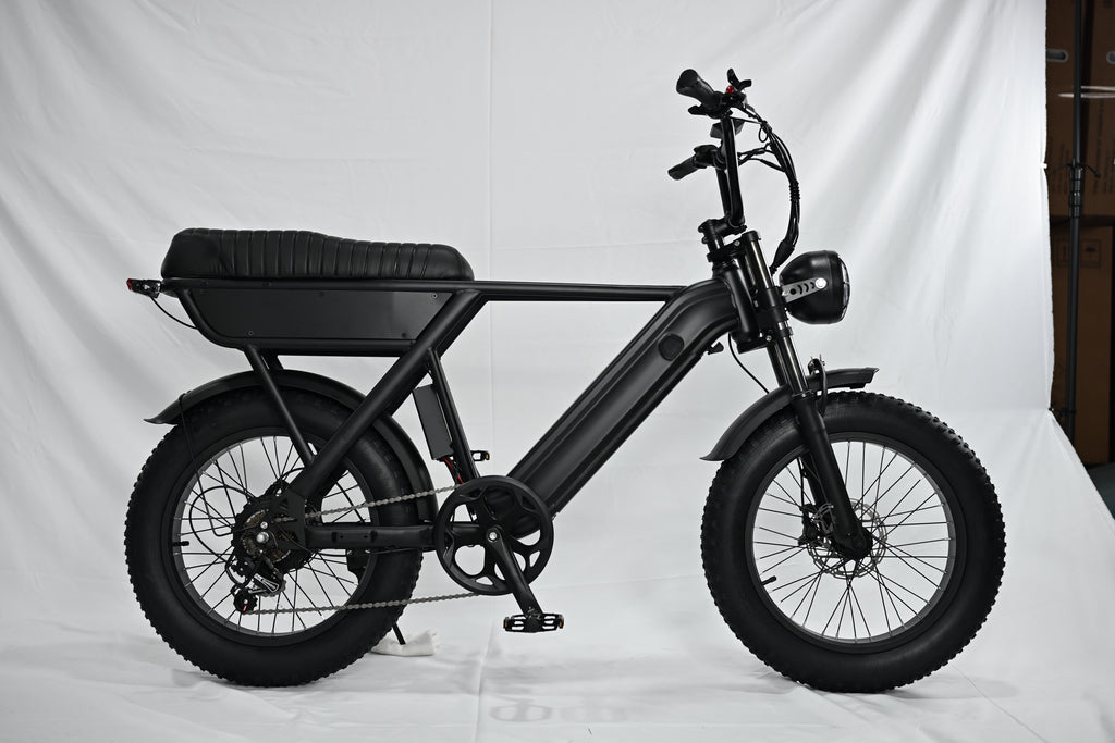Yangor Y20 E-Bike – 250W | 48V 15Ah | 20×4,0" | Peak 500W