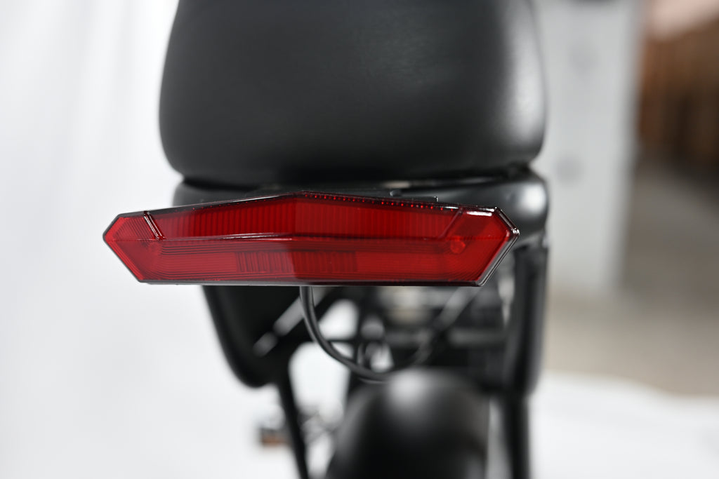 Yangor Y20 E-Bike – 250W | 48V 15Ah | 20×4,0" | Peak 500W