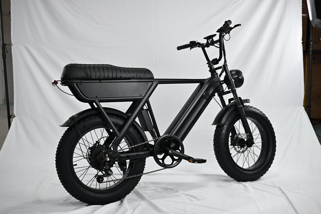 Yangor Y20 Plus E-Bike – Premium-Version mit  Hinterradfederung– 250W | 48V 15Ah | 20×4,0"