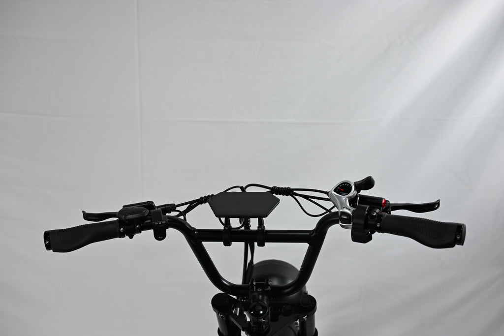 Yangor Y20 E-Bike – 250W | 48V 15Ah | 20×4,0" | Peak 500W