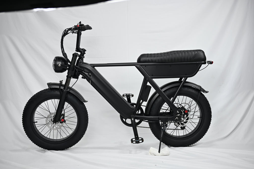 Yangor Y20 Plus E-Bike – Premium-Version mit  Hinterradfederung– 250W | 48V 15Ah | 20×4,0"