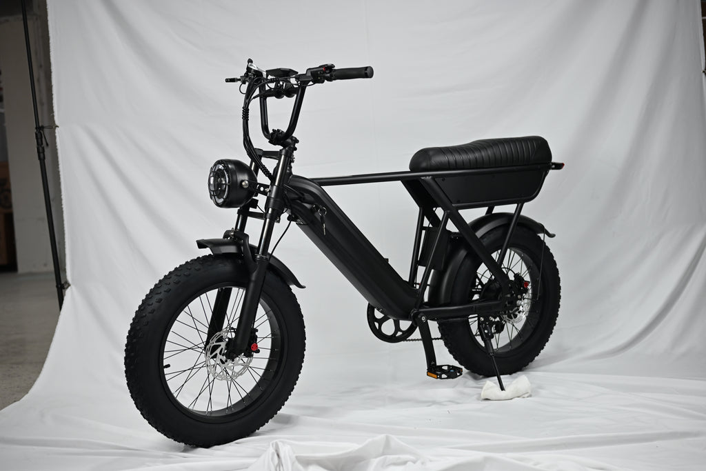 Yangor Y20 E-Bike – 250W | 48V 15Ah | 20×4,0" | Peak 500W