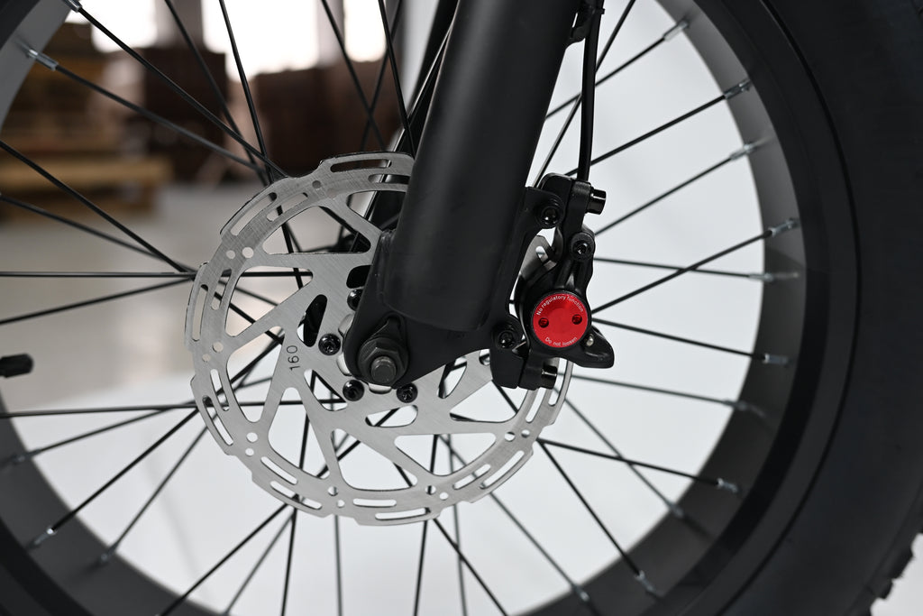 Yangor Y20 Plus E-Bike – Premium-Version mit  Hinterradfederung– 250W | 48V 15Ah | 20×4,0"