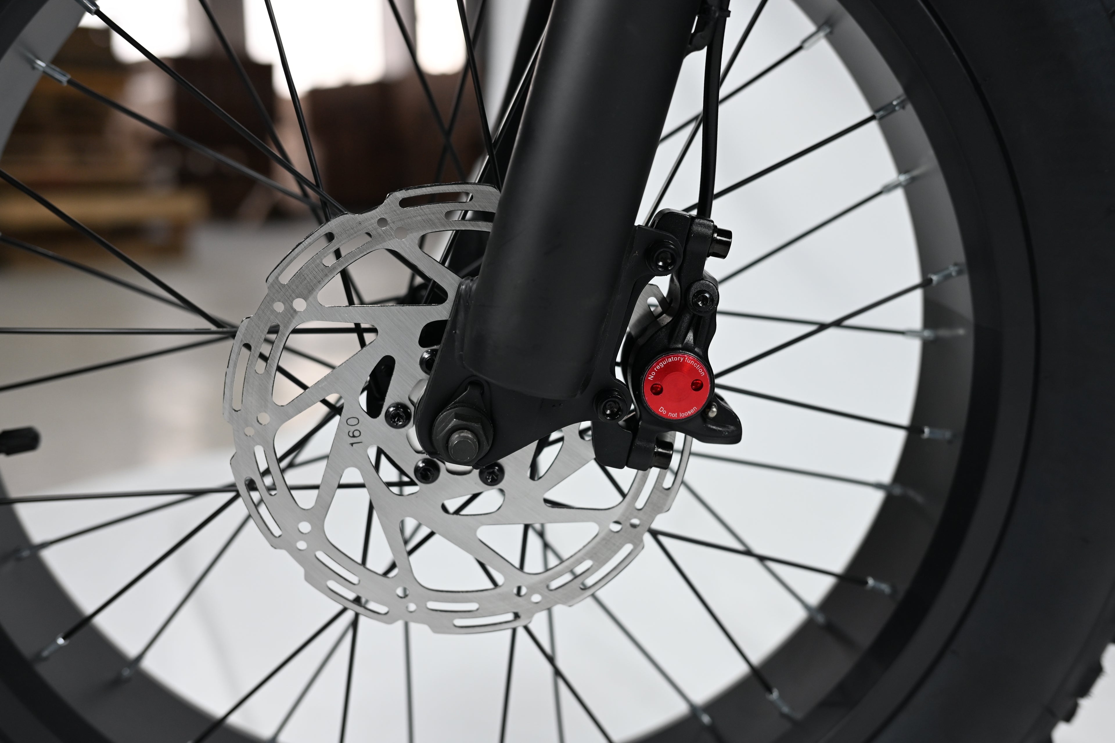 Yangor Y20 Plus E-Bike – Premium-Version mit  Hinterradfederung– 250W | 48V 15Ah | 20×4,0"