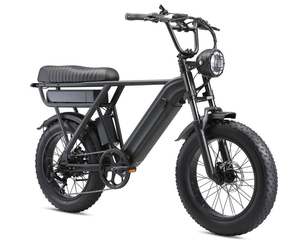 Yangor Y20 Pro Max E-Bike – 250W | 48V 35Ah | 20×4,0" | bis 210 km | Peak 500W