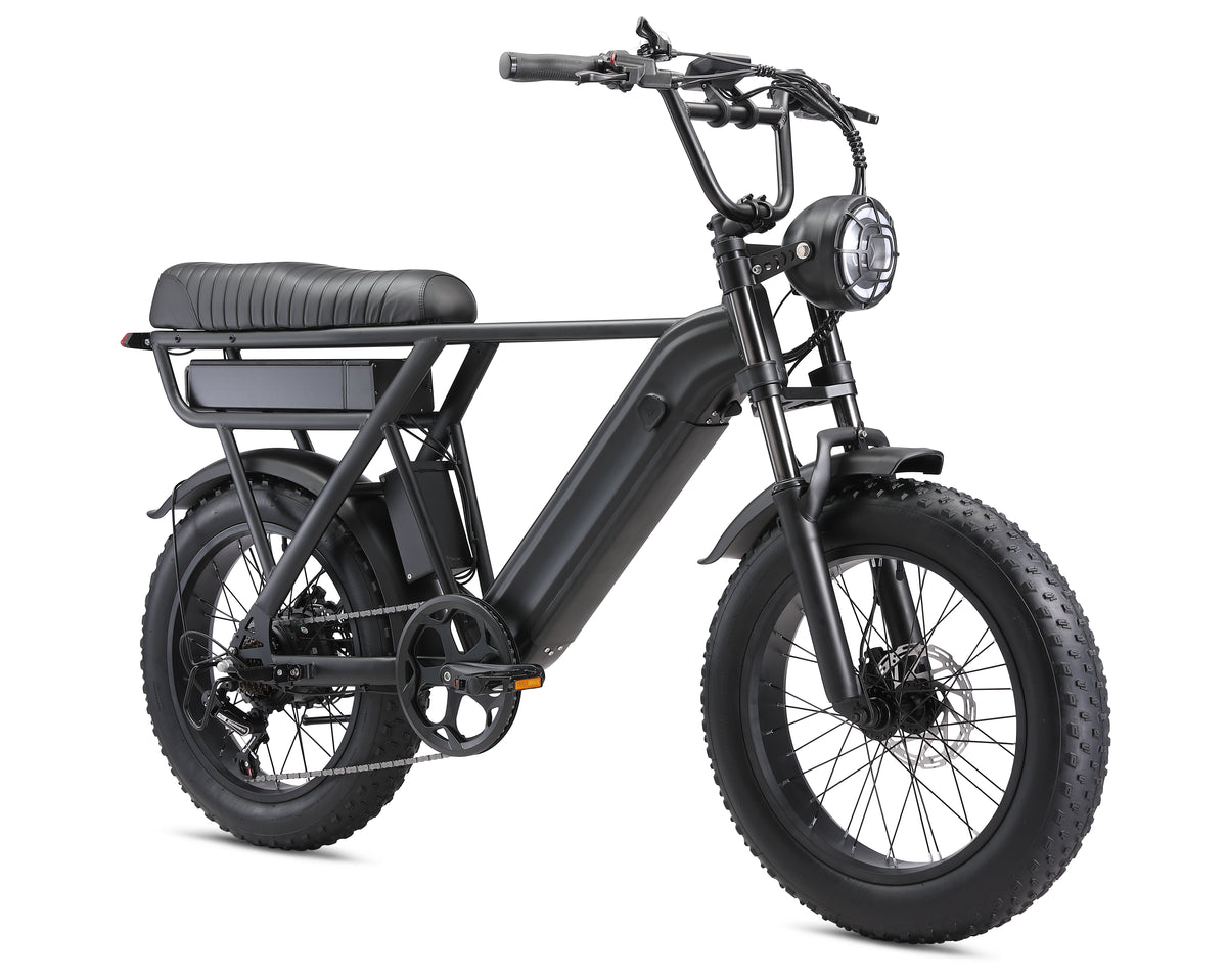 Yangor Y20 Plus E-Bike – Premium-Version mit  Hinterradfederung– 250W | 48V 15Ah | 20×4,0"