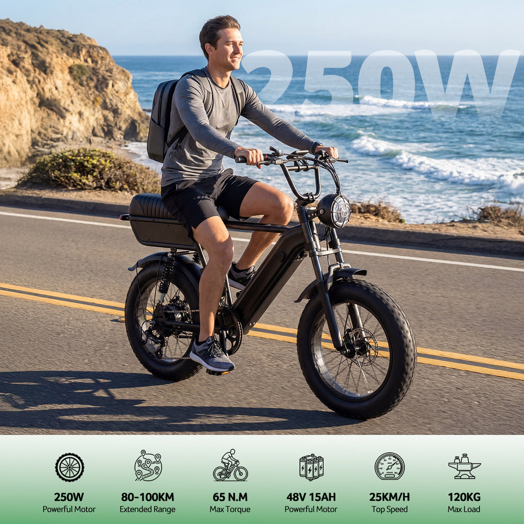 Yangor Y20 Plus E-Bike – Premium-Version mit  Hinterradfederung– 250W | 48V 15Ah | 20×4,0"