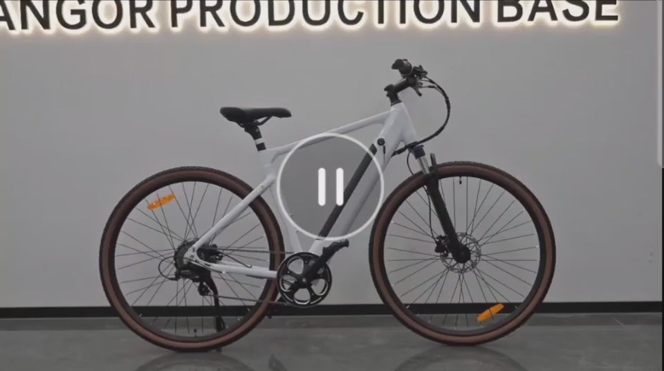 Yangor H700 E-Bike – 250W | Bis zu 100 km Reichweite