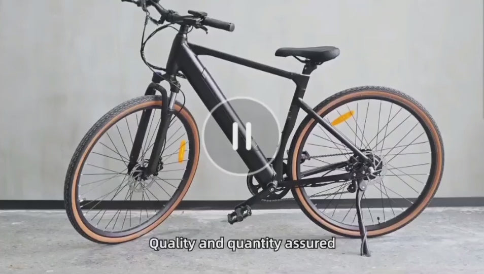 Yangor H700 E-Bike – 250W | Bis zu 100 km Reichweite