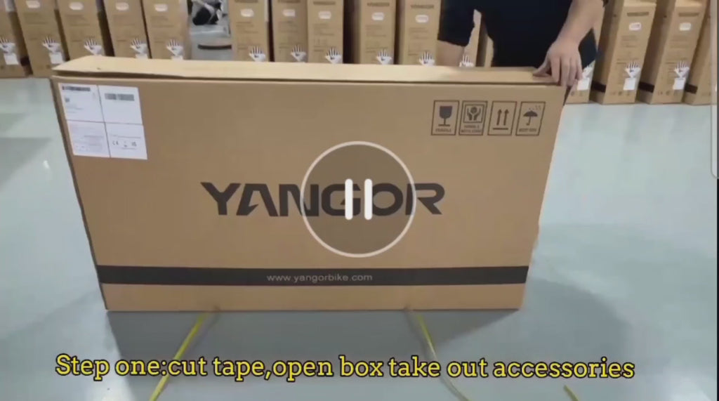 Yangor H700 E-Bike – 250W | Bis zu 100 km Reichweite