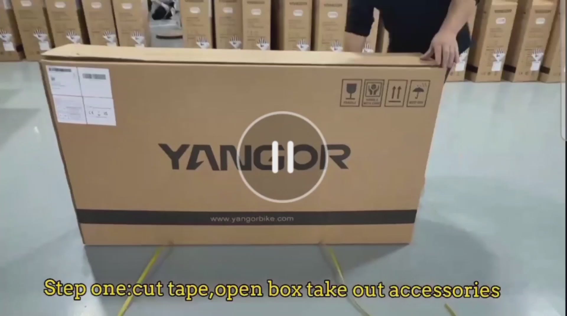 Yangor H700 E-Bike – 250W | Bis zu 100 km Reichweite