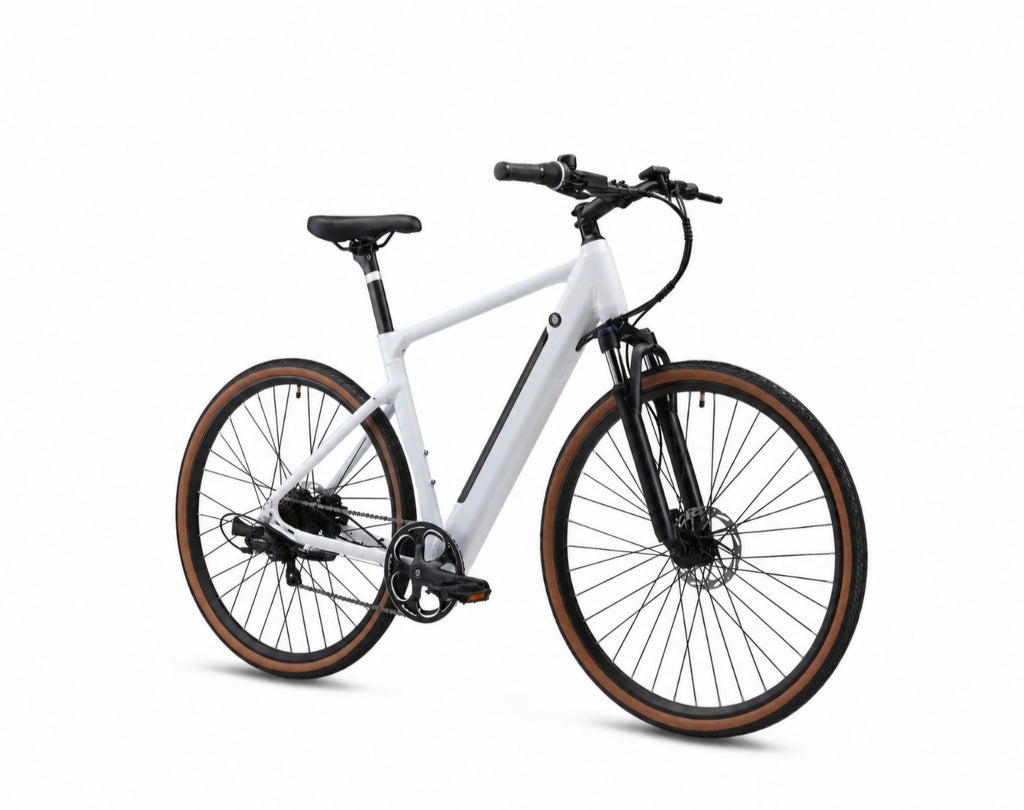 Yangor H700 E-Bike – 250W | Bis zu 100 km Reichweite
